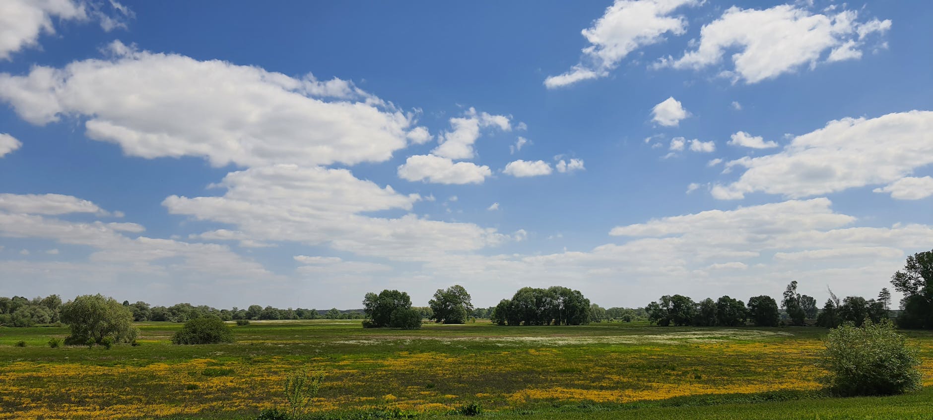 Majówka w Bielsku Podlaskim - mieszkańcy i turyści cieszący się długim weekendem w mieście i okolicach.