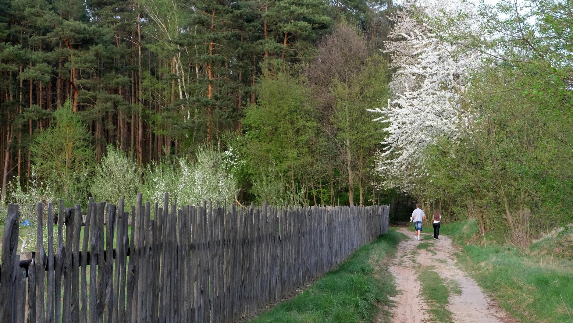 Wiosna w Bielsku Podlaskim: Przewodnik po sezonowych atrakcjach